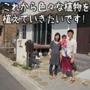 自然志向のナチュラル外構・塗り壁の門袖とアイアンウッドデッキ