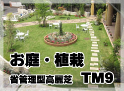 お庭・植栽・省管理型高麗芝TM9施工事例