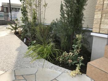 変換 ~ 2019takuma-go-23.jpg