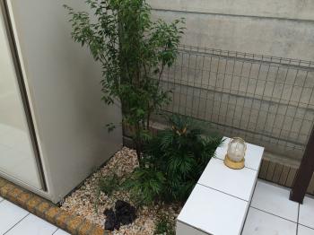 新座市 日陰に強い植物で植栽