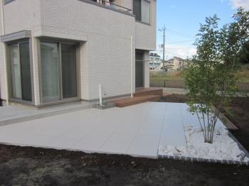 東松山市　タイルテラス　シマトネリコ植栽完成