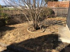 川越市 お庭リフォーム前の様子