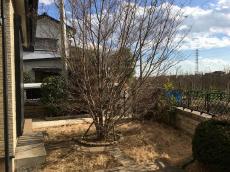 川越市 芝の部分をなんとかしてメンテナンスフリーにしたい