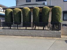 川越市　リフォーム外構　施工前