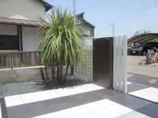 富士見市　植栽　ニオイシュロラン