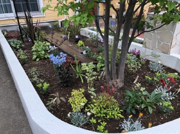 鶴ヶ島市 花壇の植込み