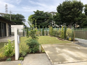 川越市　庭一面の芝生(TM9)と植栽が完成しました