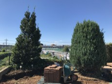 さいたま市 お庭リフォーム施工の様子