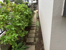 fujimino nakazawa mae2.JPG