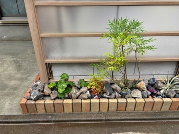 kiyose okada go3.JPG