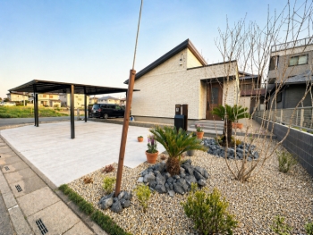 ソテツとアオダモが上手く配置されて良い感じです！