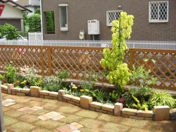 これからの季節、庭がどんな表情を見せてくれるのか楽しみです。