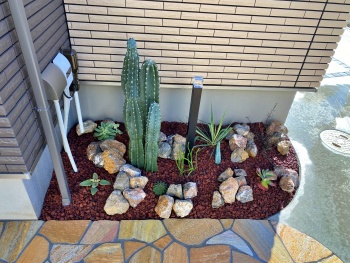 saitamasi noro go3.JPG