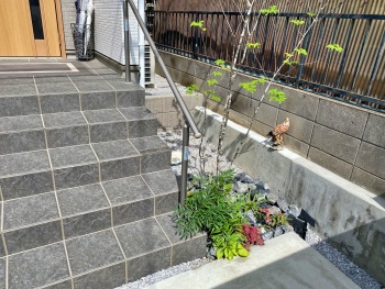 sakadosi hasimoto go1.JPG