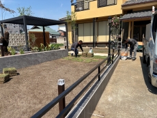 warabisi imai chu8.JPG