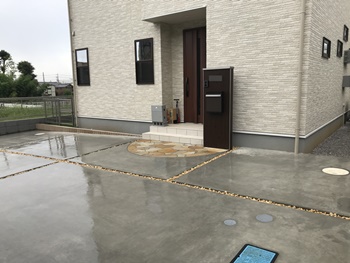 TOPx350 IMG_6494.JPG