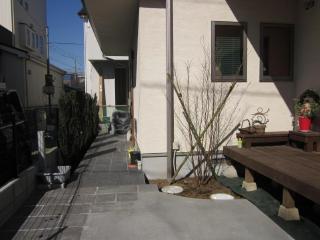 樹木はヒメシャラ、少しわかりづらいですが、左奥にスカイペンシル5本を植えました。