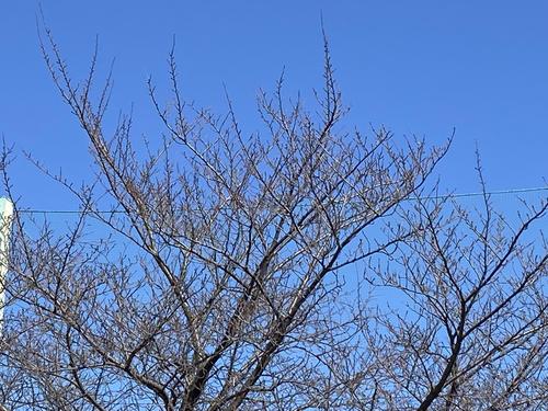 変換 ～ IMG_4293.jpg