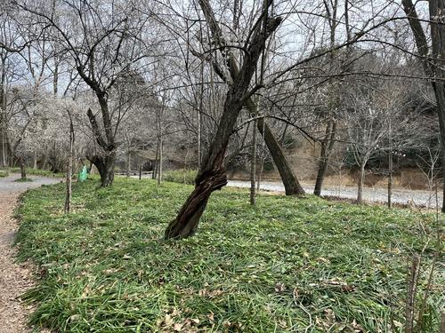 変換 ～ IMG_6315.jpg