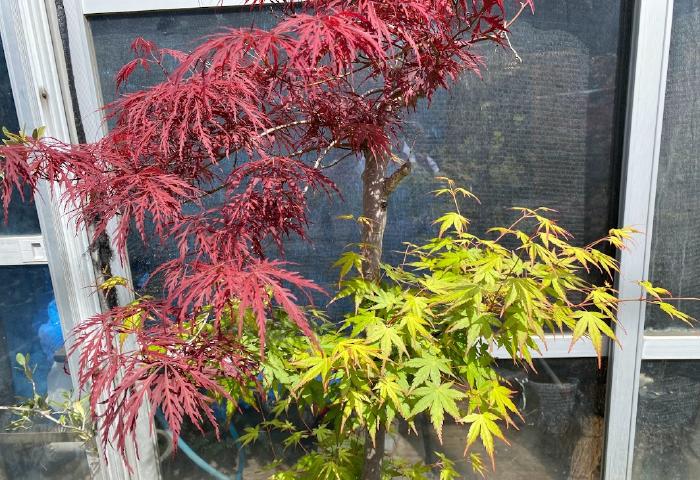 変換 ～ IMG_3920.jpg