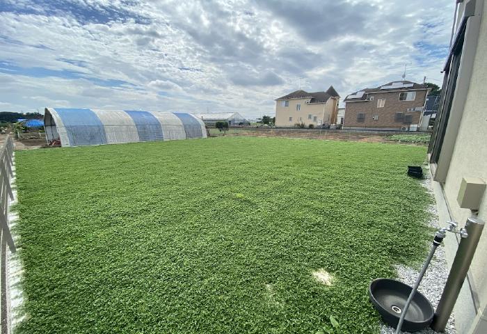 変換 ～ IMG_4797.jpg