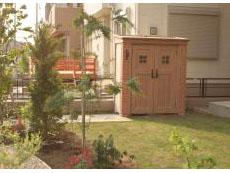 カンナ・オレンジ