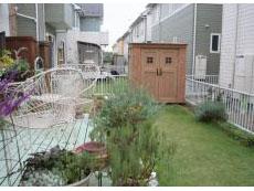 カンナ・オレンジ