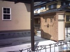 カンナ・オレンジ