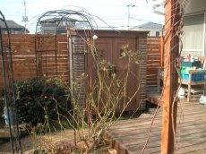 カンナ・ブラウン