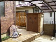 カンナ・オレンジ