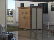 カンナ・オレンジ