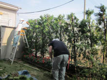 樹木の選定も承ります！